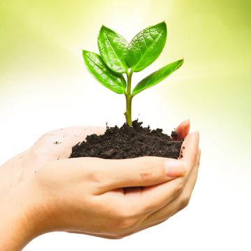 POSH Organics supports Eminence Organics plant a tree program